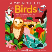 Birds__A_Day_in_the_Life_